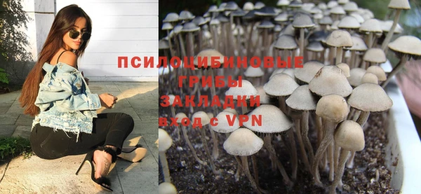 гашик Армянск