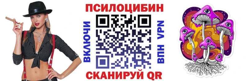 Галлюциногенные грибы Psilocybine cubensis  где купить наркоту  ОМГ ОМГ ССЫЛКА  Шадринск 