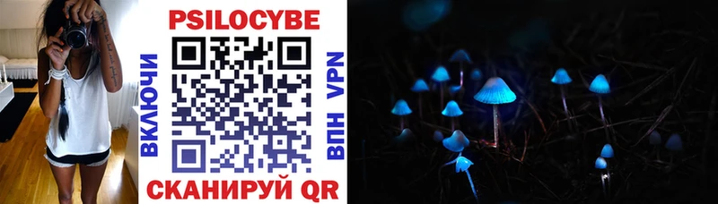 Псилоцибиновые грибы Cubensis Шадринск