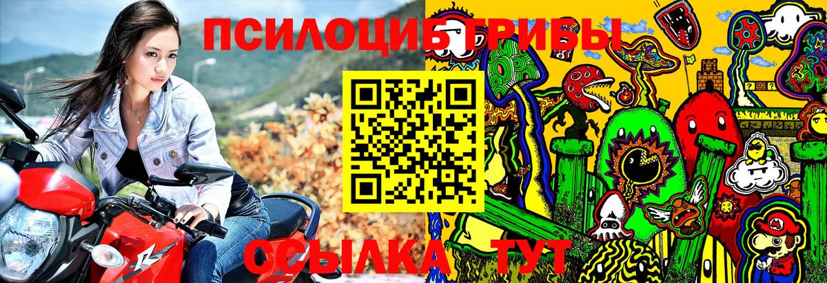 Галлюциногенные грибы GOLDEN TEACHER  Вход с VPN  Шадринск 